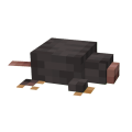 Mole