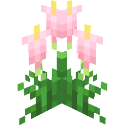 Screenshot pink arum lily