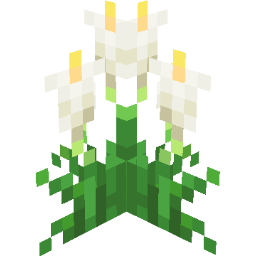 Screenshot white arum lily