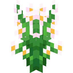 Screenshot white aster