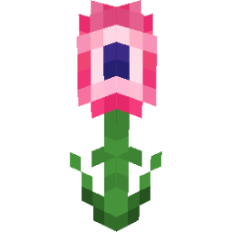 Screenshot pink cape daisy