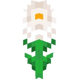 Screenshot white chrysanthemum