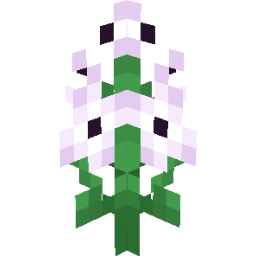 Screenshot white clematis