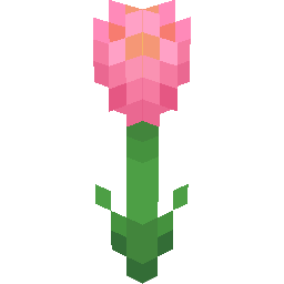 Screenshot pink dahlia
