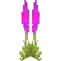 Screenshot purple foxtail lily