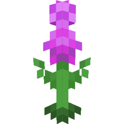 Screenshot purple gillyflower