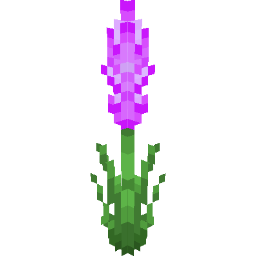 Screenshot purple gladiolus