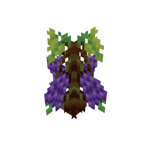 Grape Vine