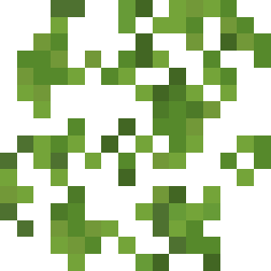 Ivy