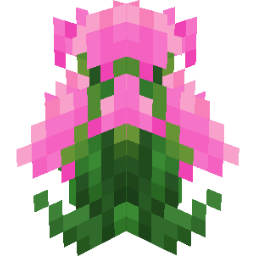 Screenshot pink kalanchoe