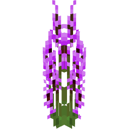 Screenshot purple lobelia