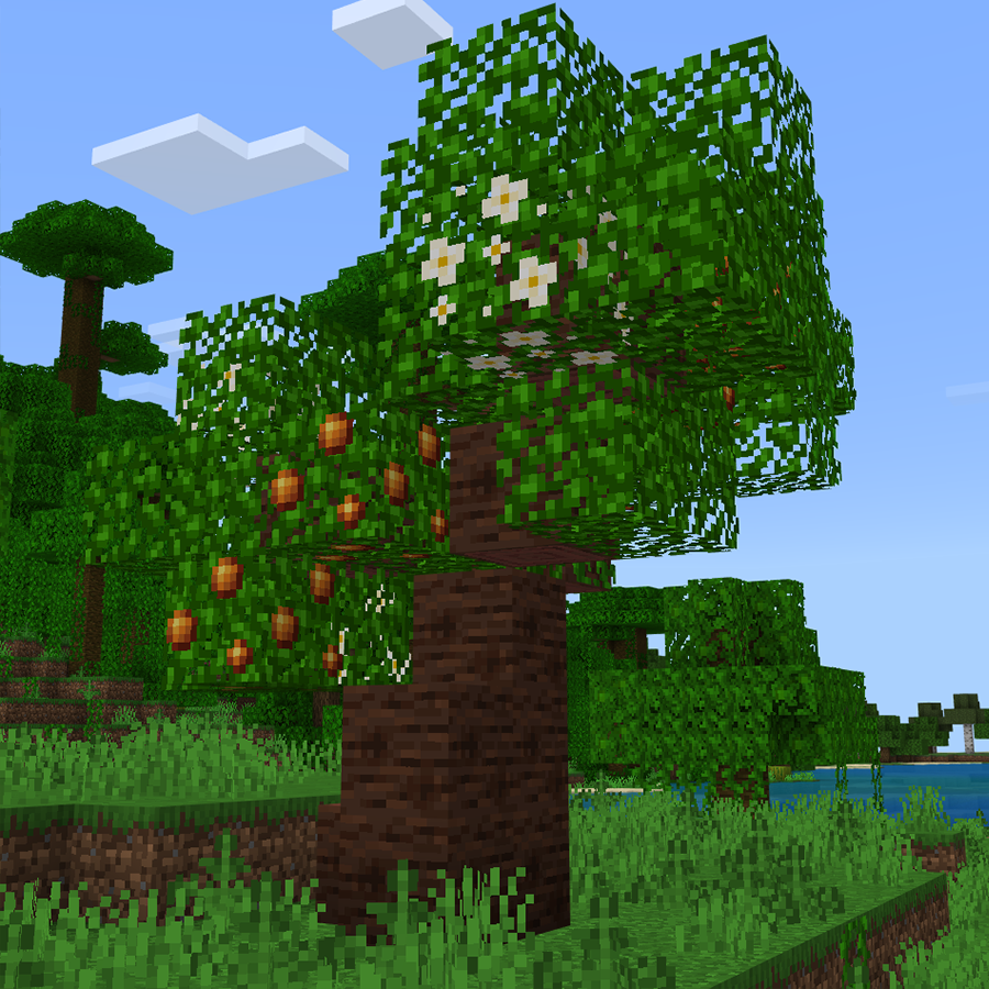 OrangeTree