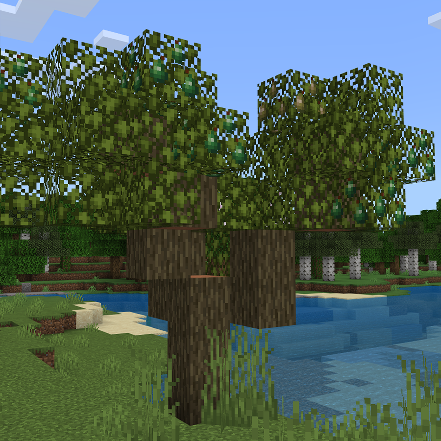 PearTree