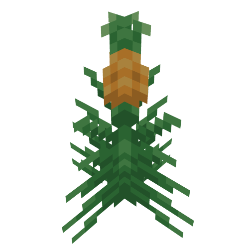 Pineapple Plant