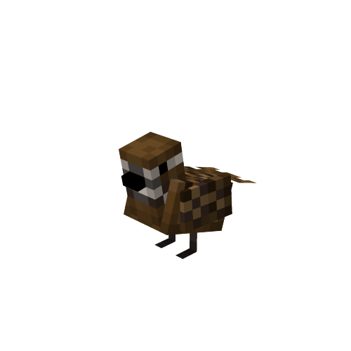 Quail