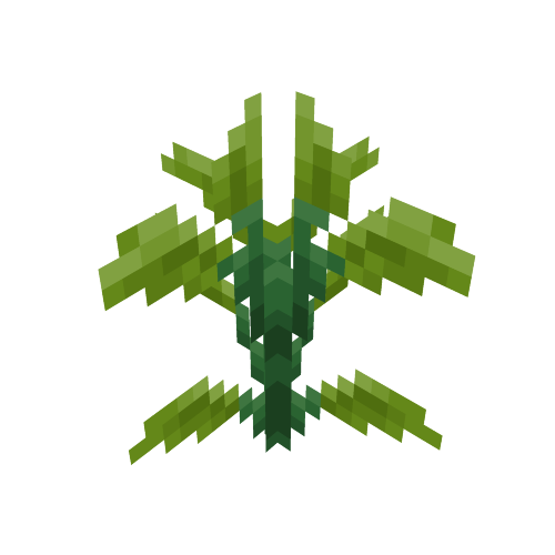 Tea Plant