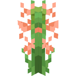 Screenshot orange tuberose