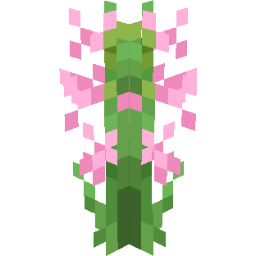 Screenshot pink tuberose