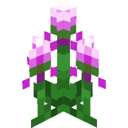 Screenshot pink venus slipper